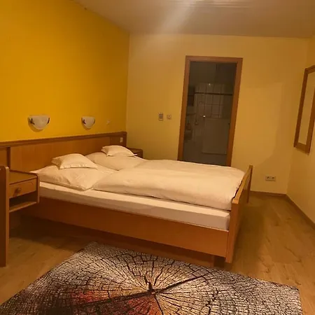 Hotel Schwan *