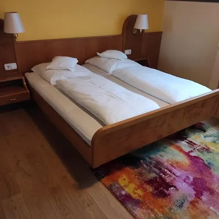 Schwan Hotel *