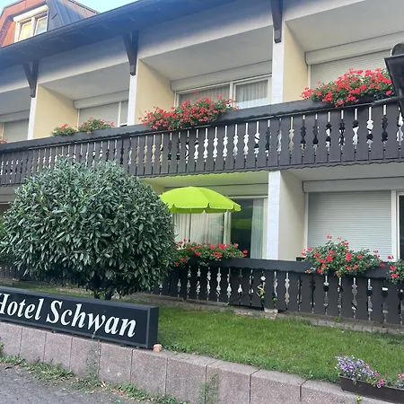 Schwan * Hugelsheim
