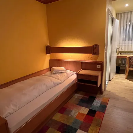 Schwan * Hügelsheim