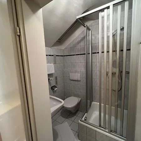 Ξενοδοχείο Schwan *