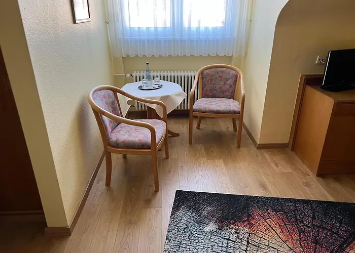 Schwan * Hügelsheim