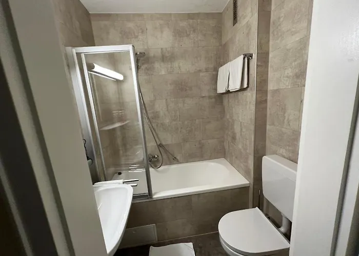 ホテル Schwan Hügelsheim