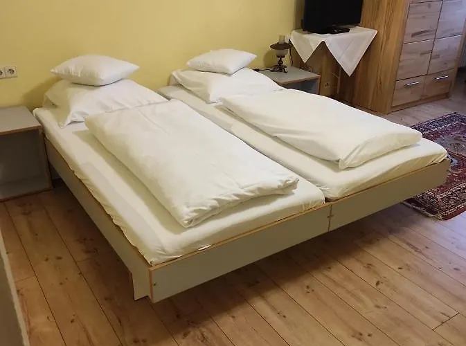 Schwan * Hügelsheim