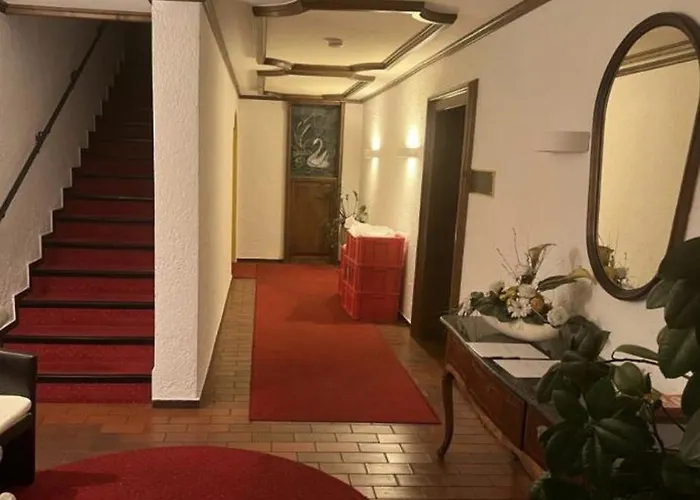 Schwan * Hügelsheim