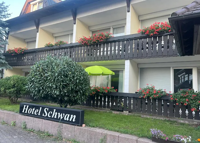 Schwan * Hügelsheim