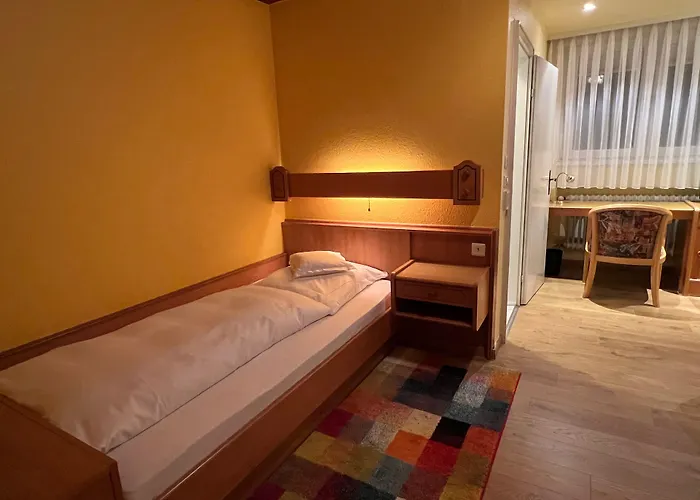 Schwan * Hügelsheim